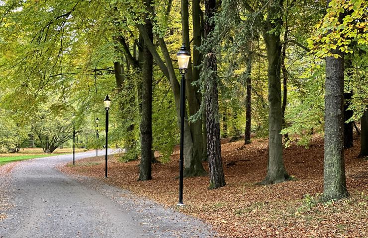 Hagaparken