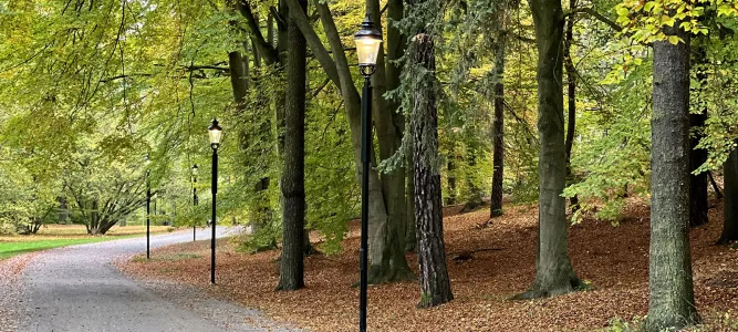 Hagaparken