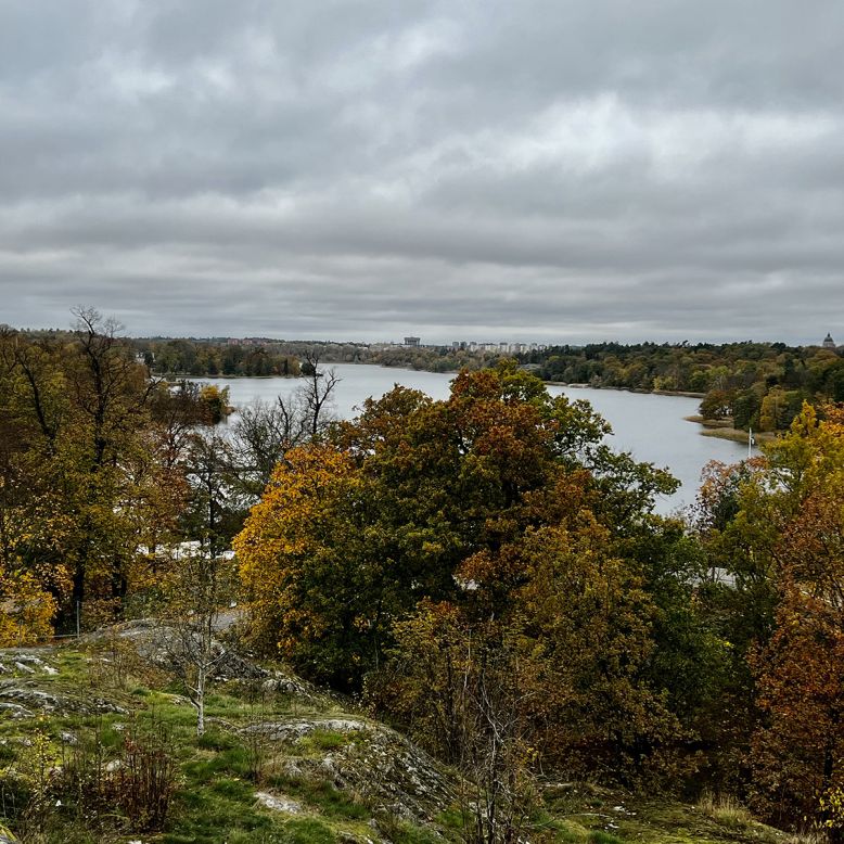 Bellevueparken