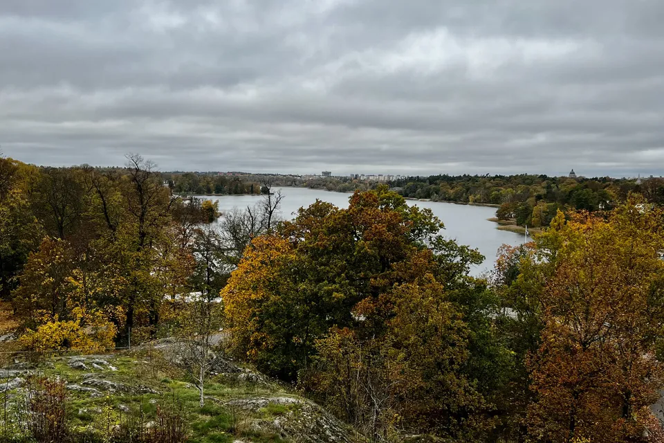Bellevueparken