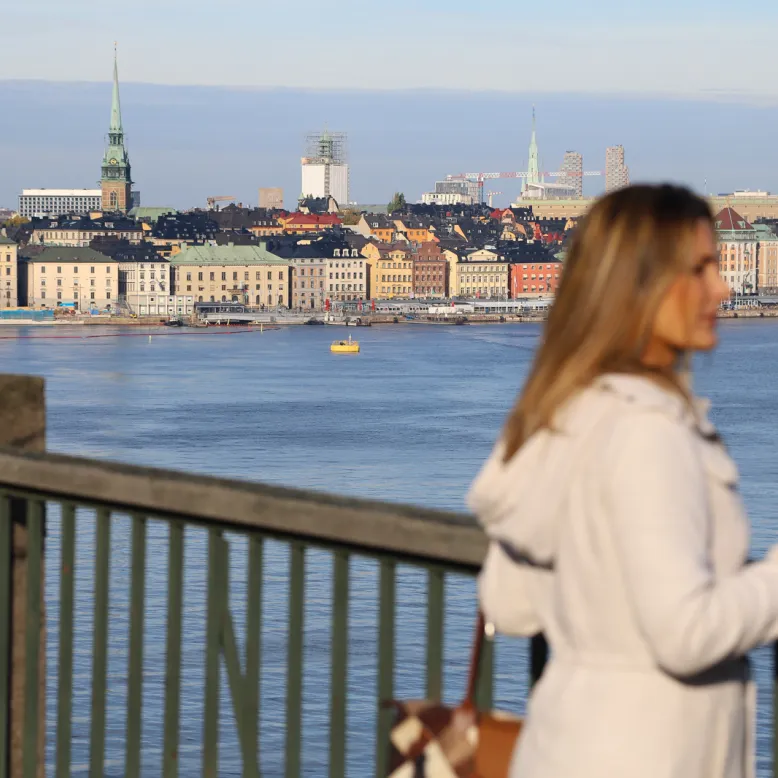 Fjallgatan