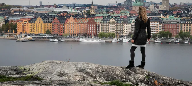 Skinnarviksberget