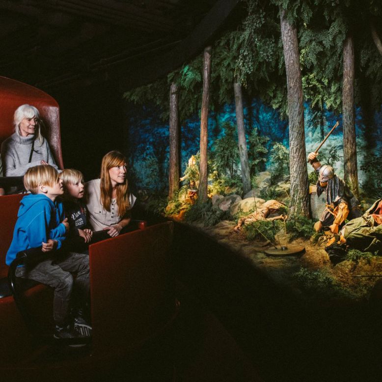 The Viking Museum