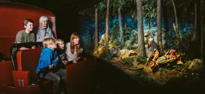 The Viking Museum