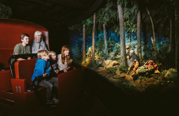 The Viking Museum