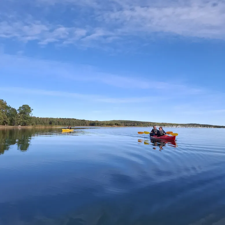 Stockholm Nature