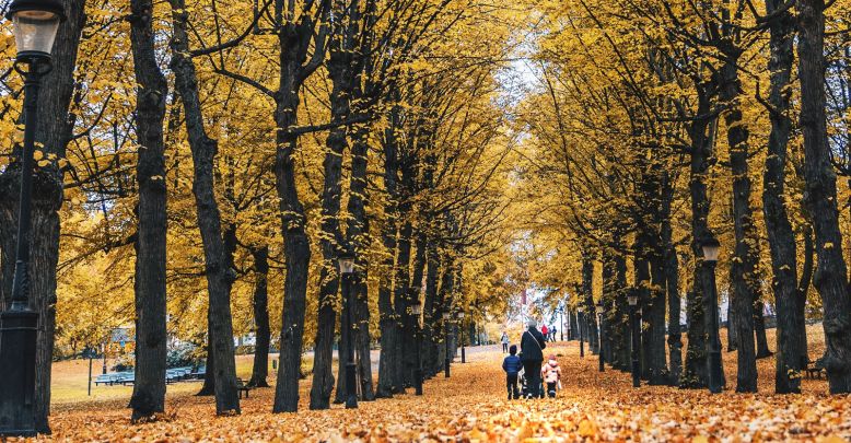 Visiting Stockholm with the family: what to do ...