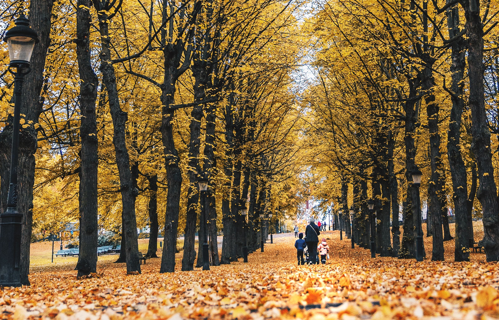 Visiting Stockholm with the family: what to do ...