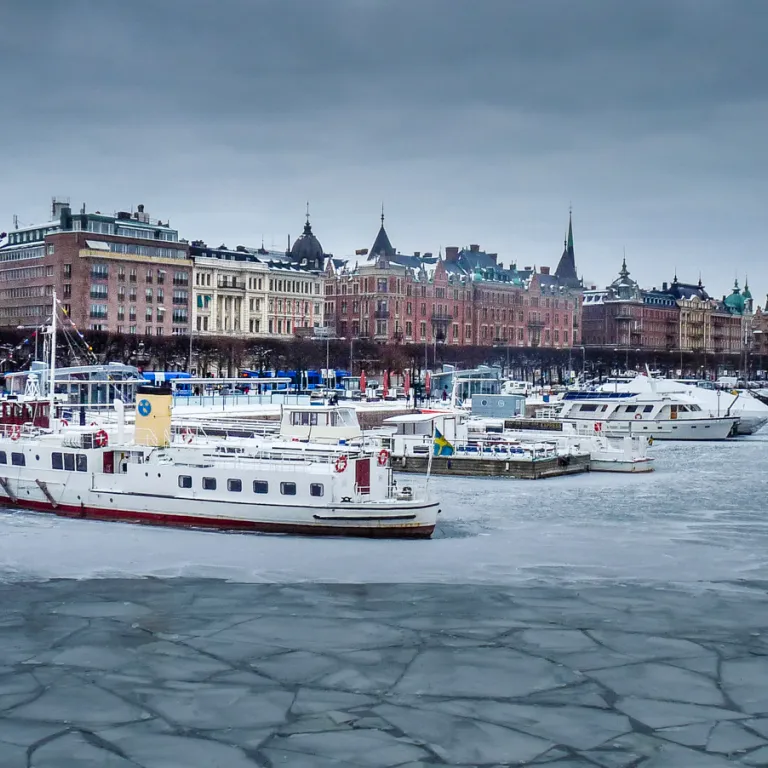 Croisière sur l’archipel de Stockholm en hiver ...