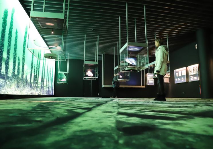 Plongez dans les abysses au nouveau VRAK Museu ...
