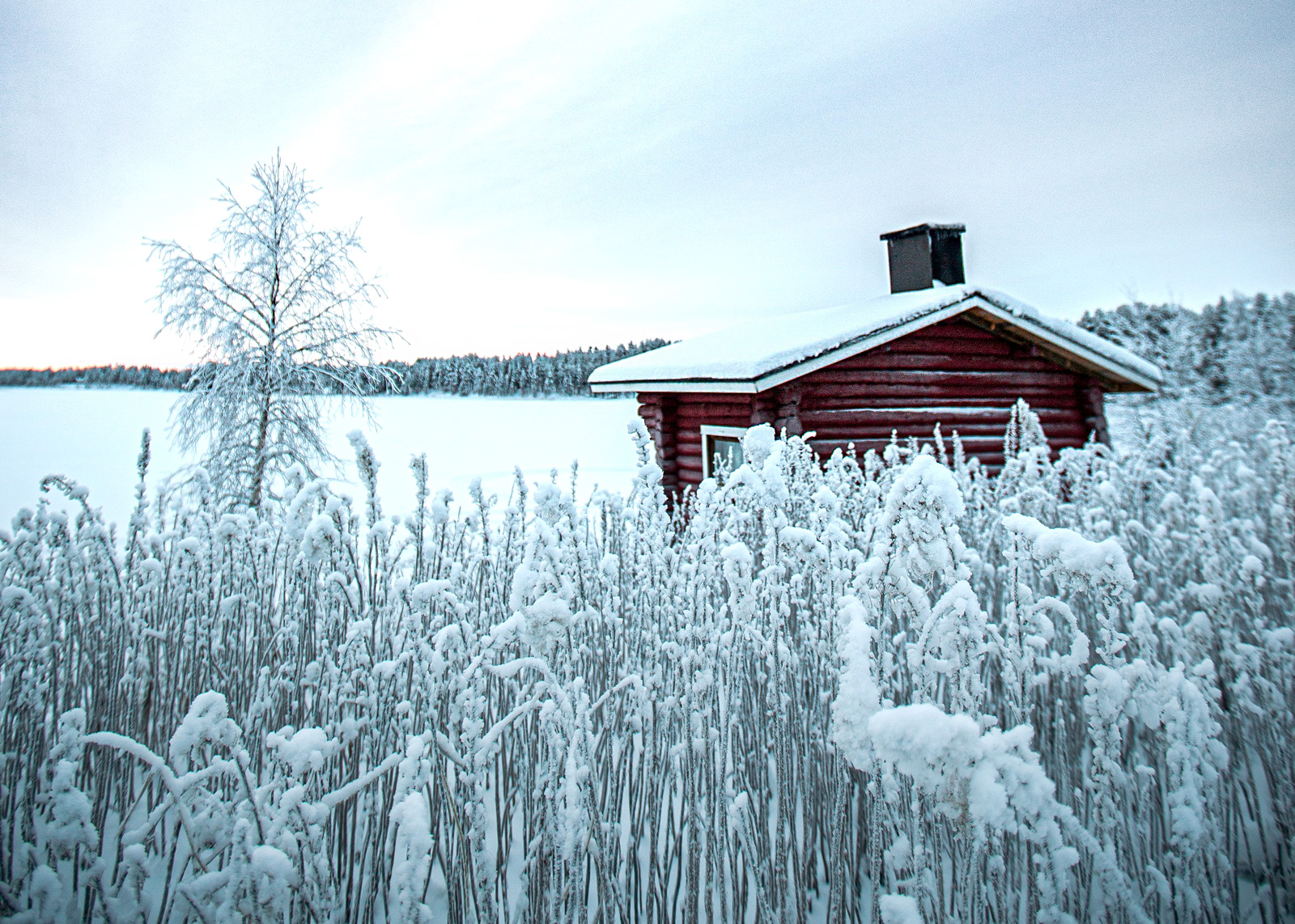 Stockholm's sauna tradition
