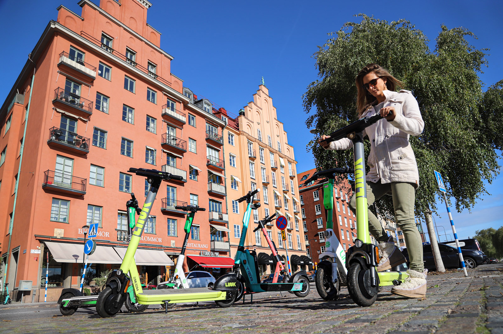 Visit Stockholm by electric scooter