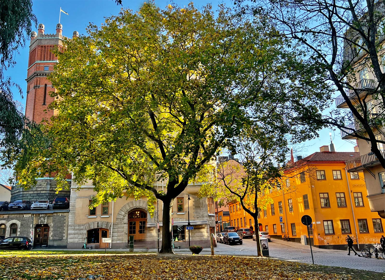 Que faire en automne à Stockholm ?