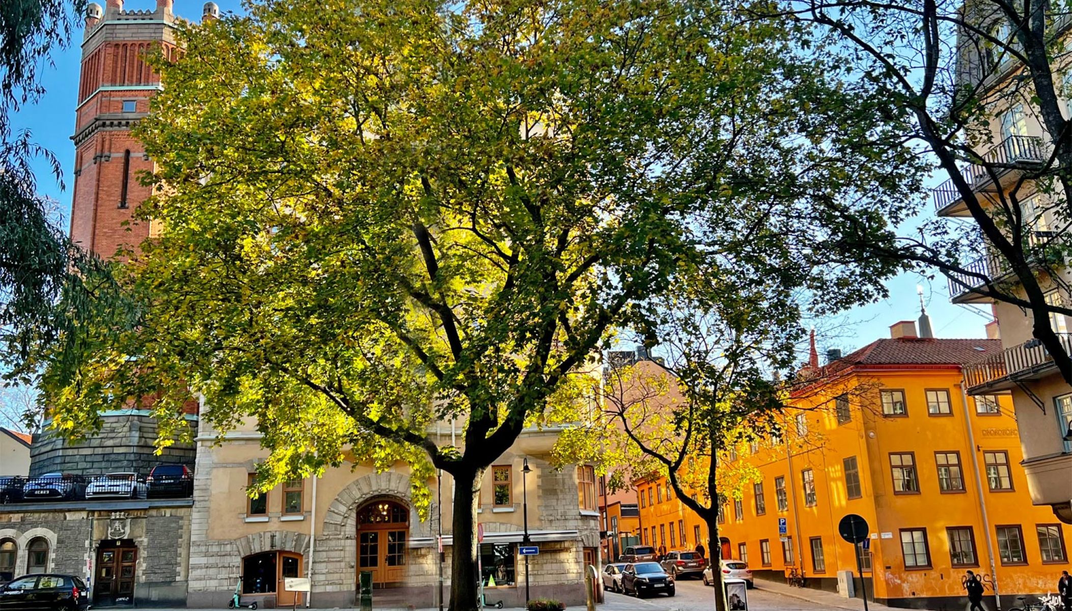 Que faire en automne à Stockholm ?