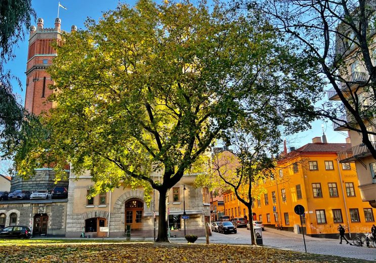 What to do in autumn in Stockholm?