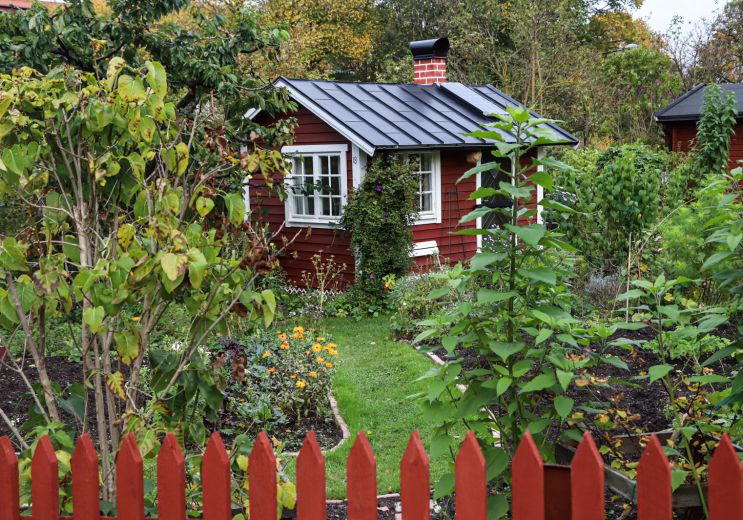 Tantolunden Park: immersion in the heart of St ...