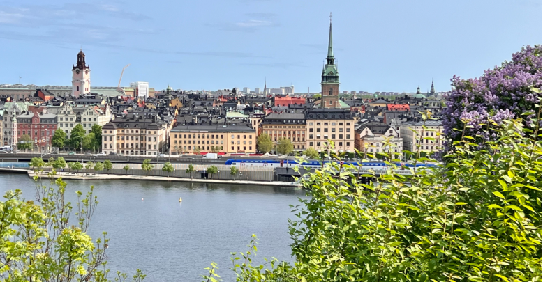 Walk in Gamla Stan, the must-sees to do and see