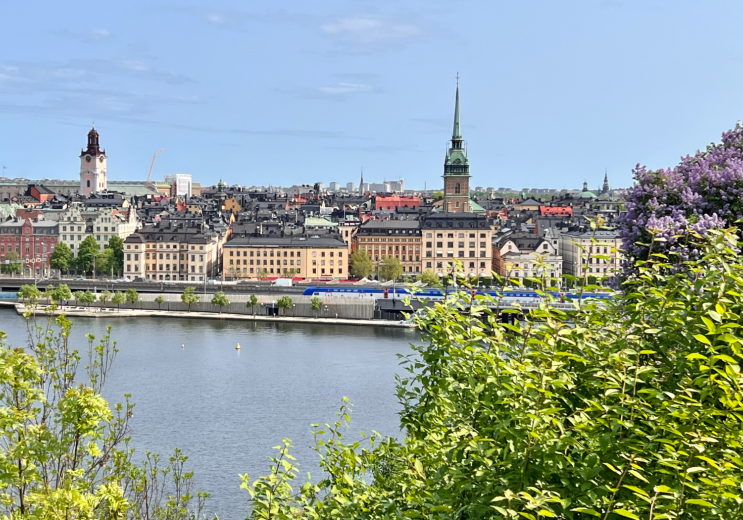 Walk in Gamla Stan, the must-sees to do and see