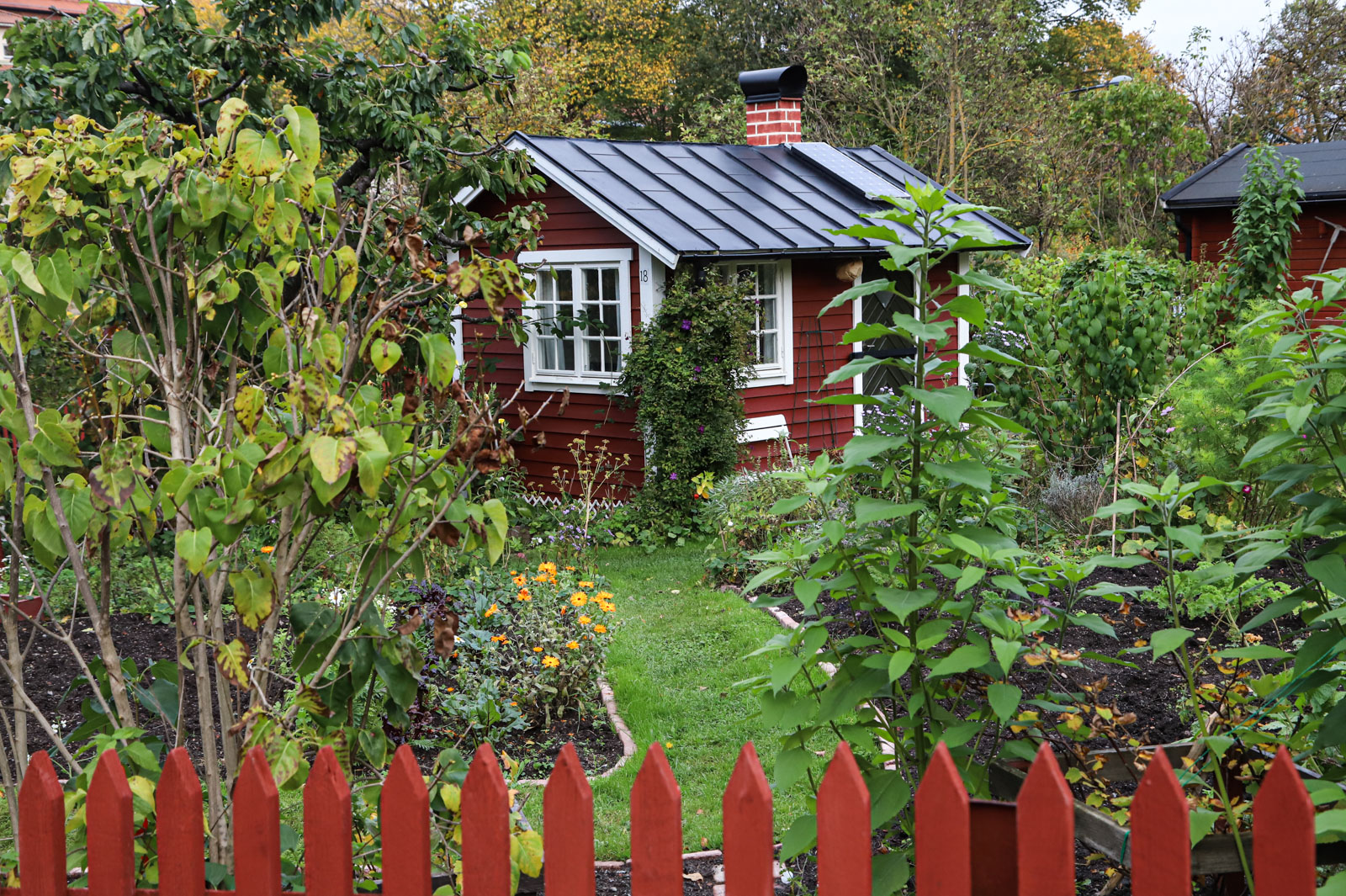 Tantolunden Park: immersion in the heart of St ...
