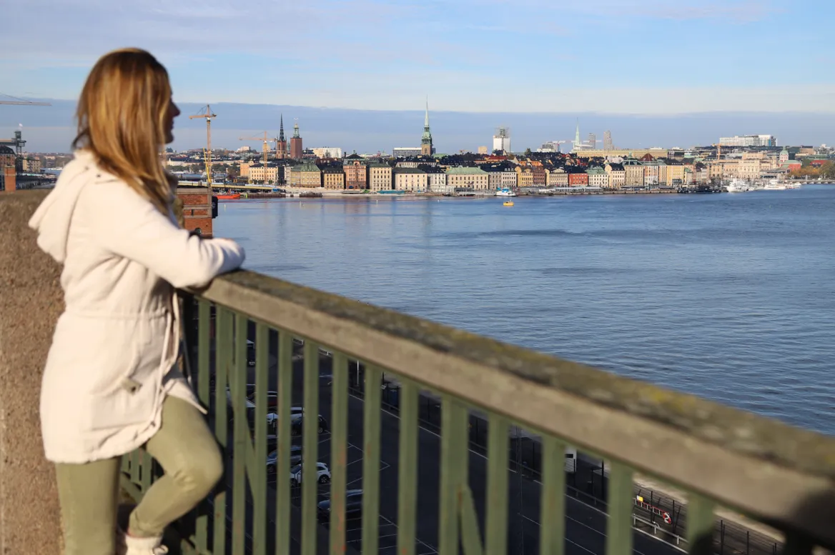 Fjällgatan
