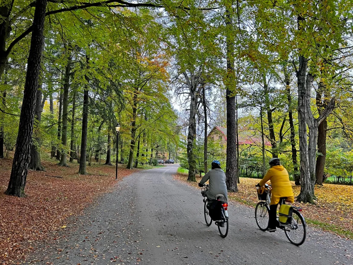 Vélo parc