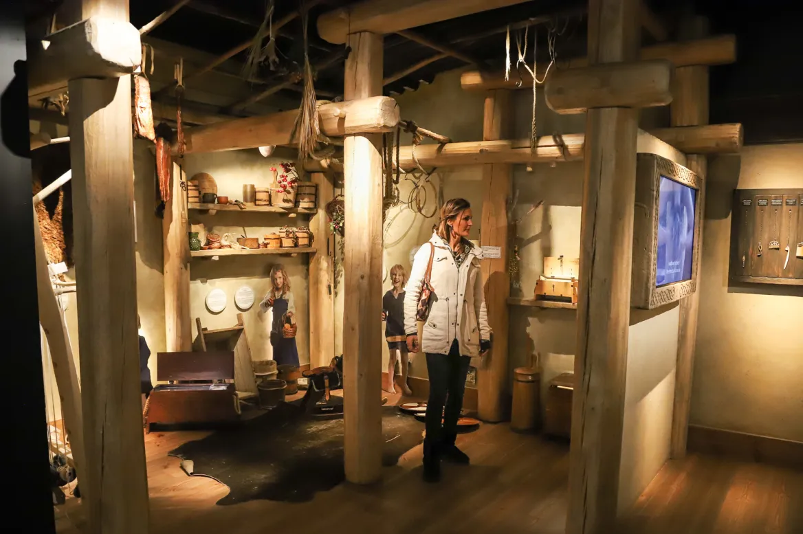 Viking Museum