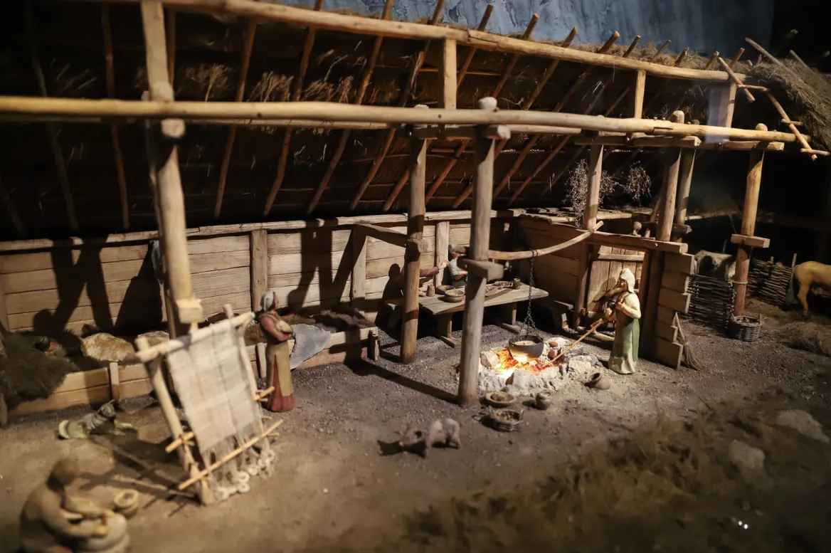 Viking Museum