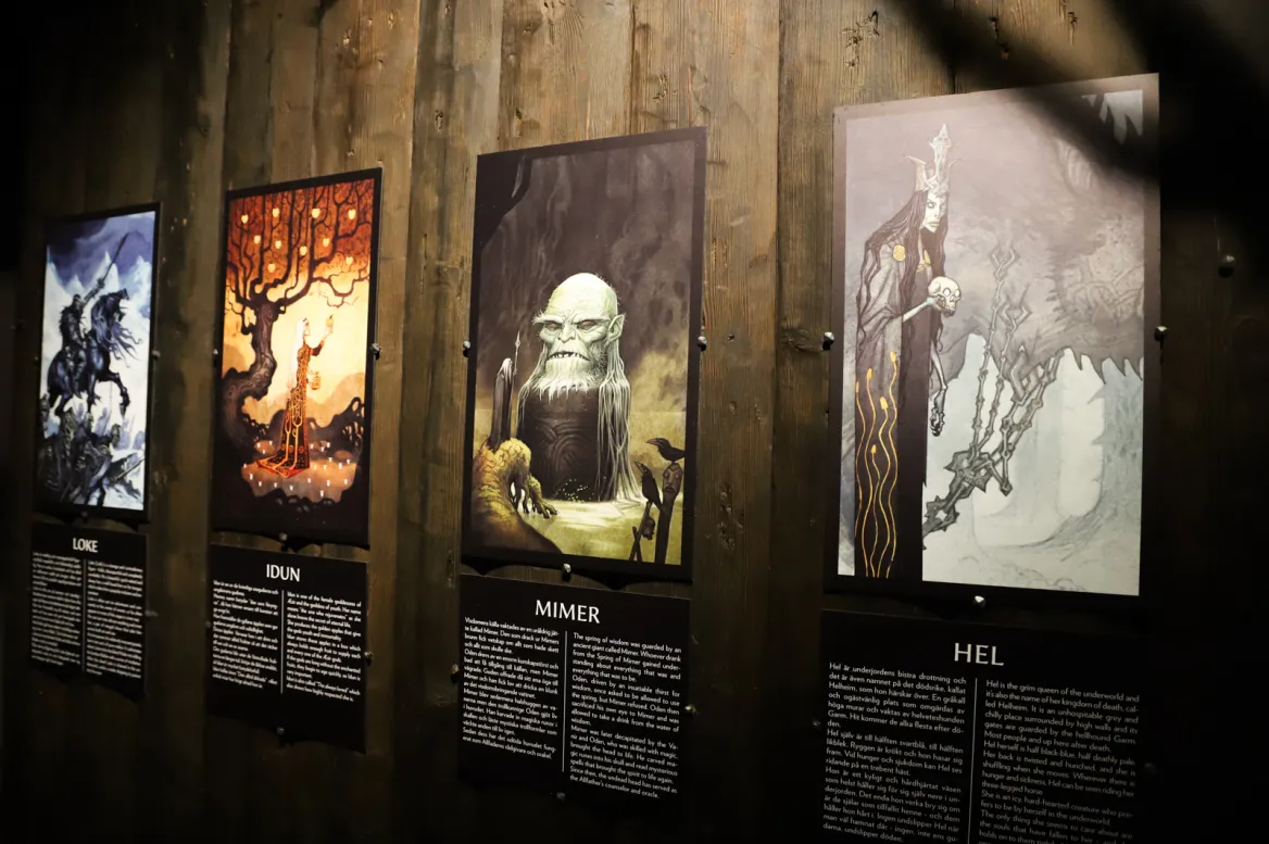 Viking Museum