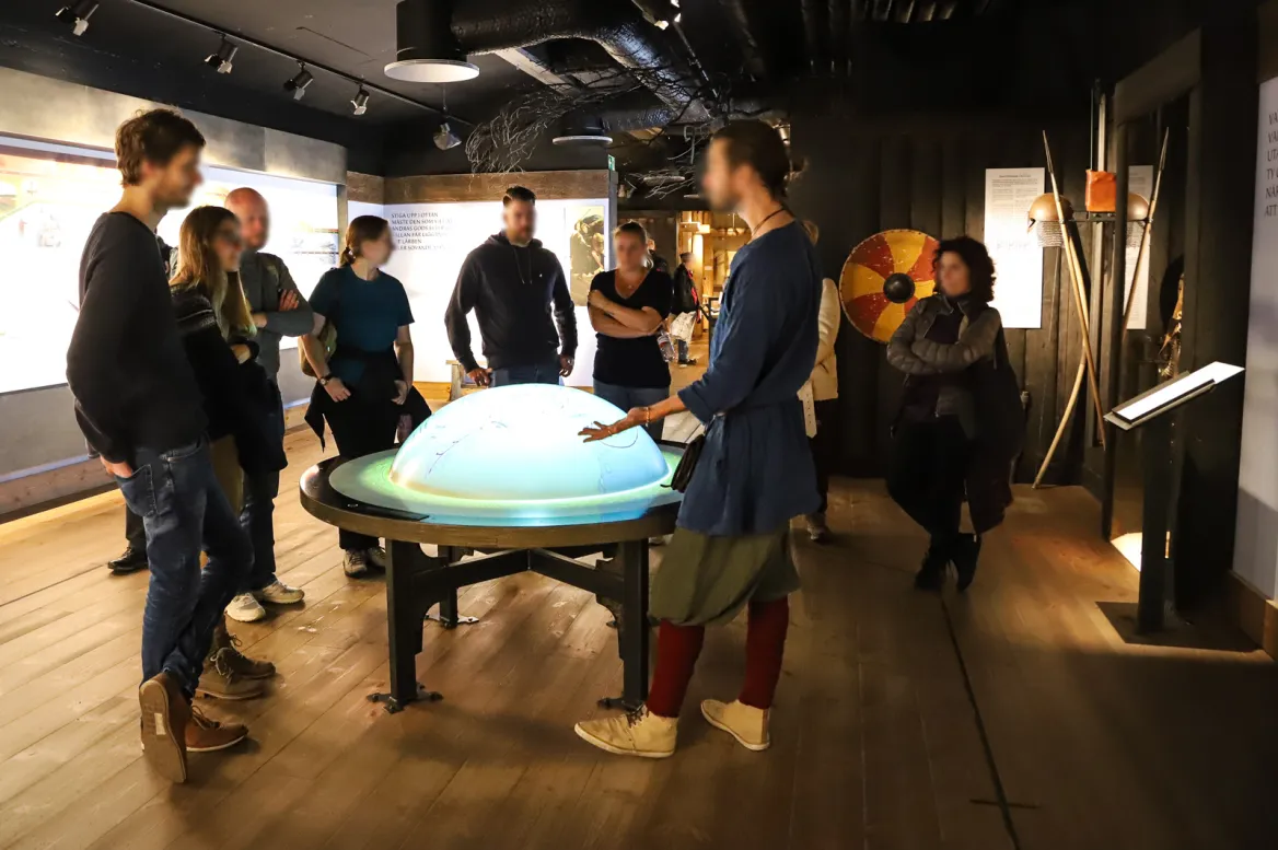 Viking Museum
