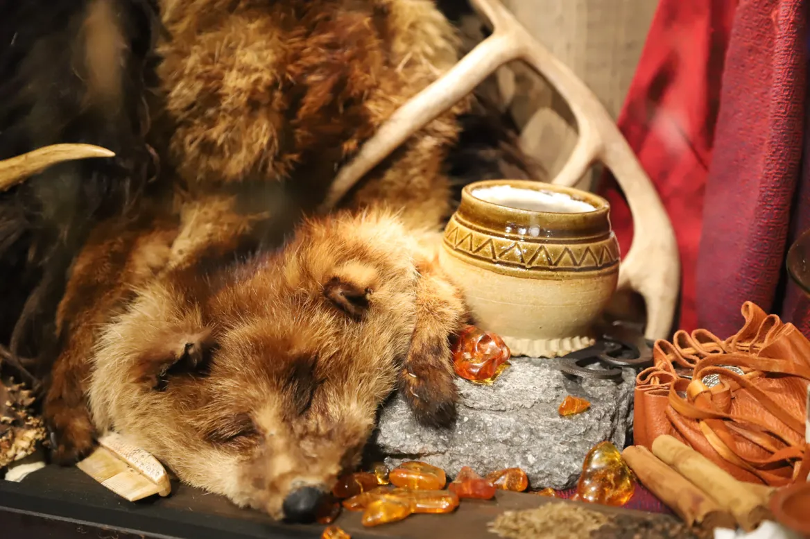 Viking Museum
