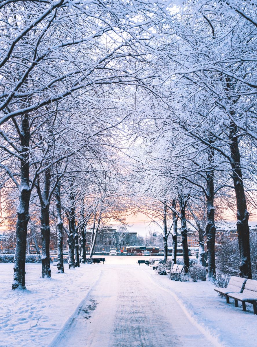 stockholm-in-winter-marcus - unsplash