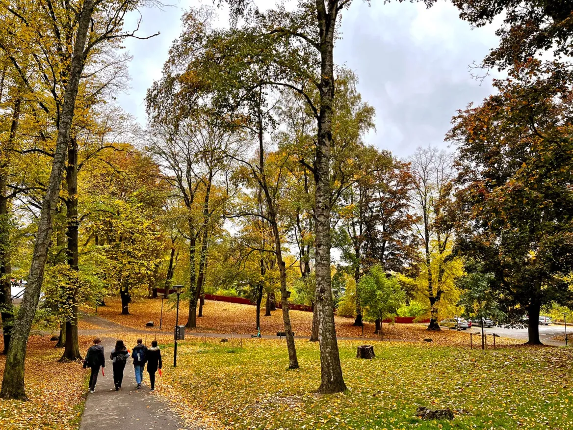 Tantolunden Parken