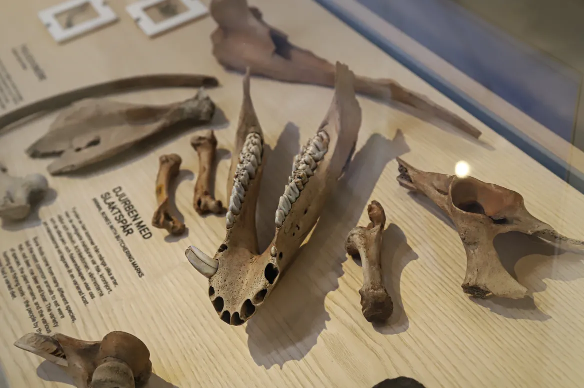 Vrak Museet