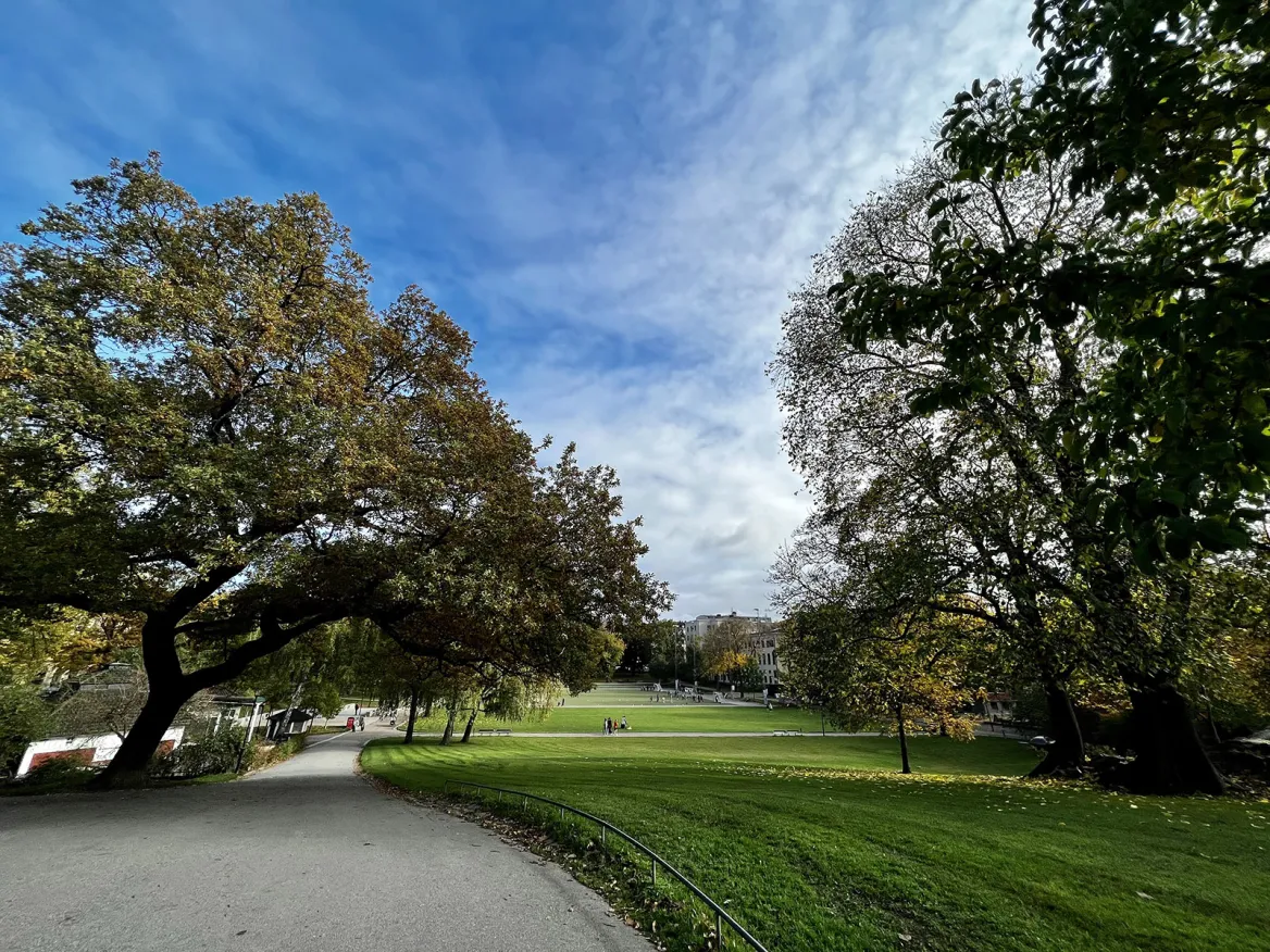Vasa Park