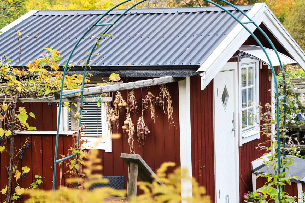 Tantolunden