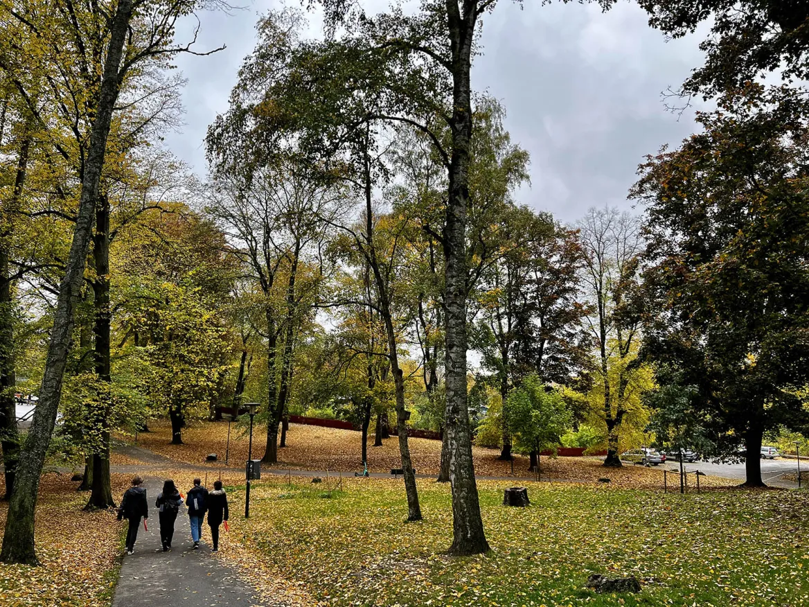 Tantolunden, a lovely park