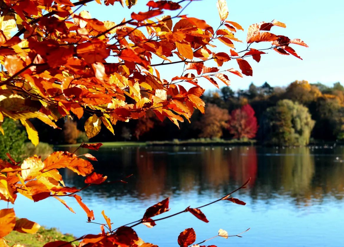Autumn