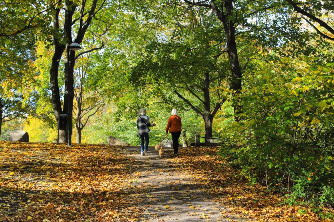Rålambshovsparken
