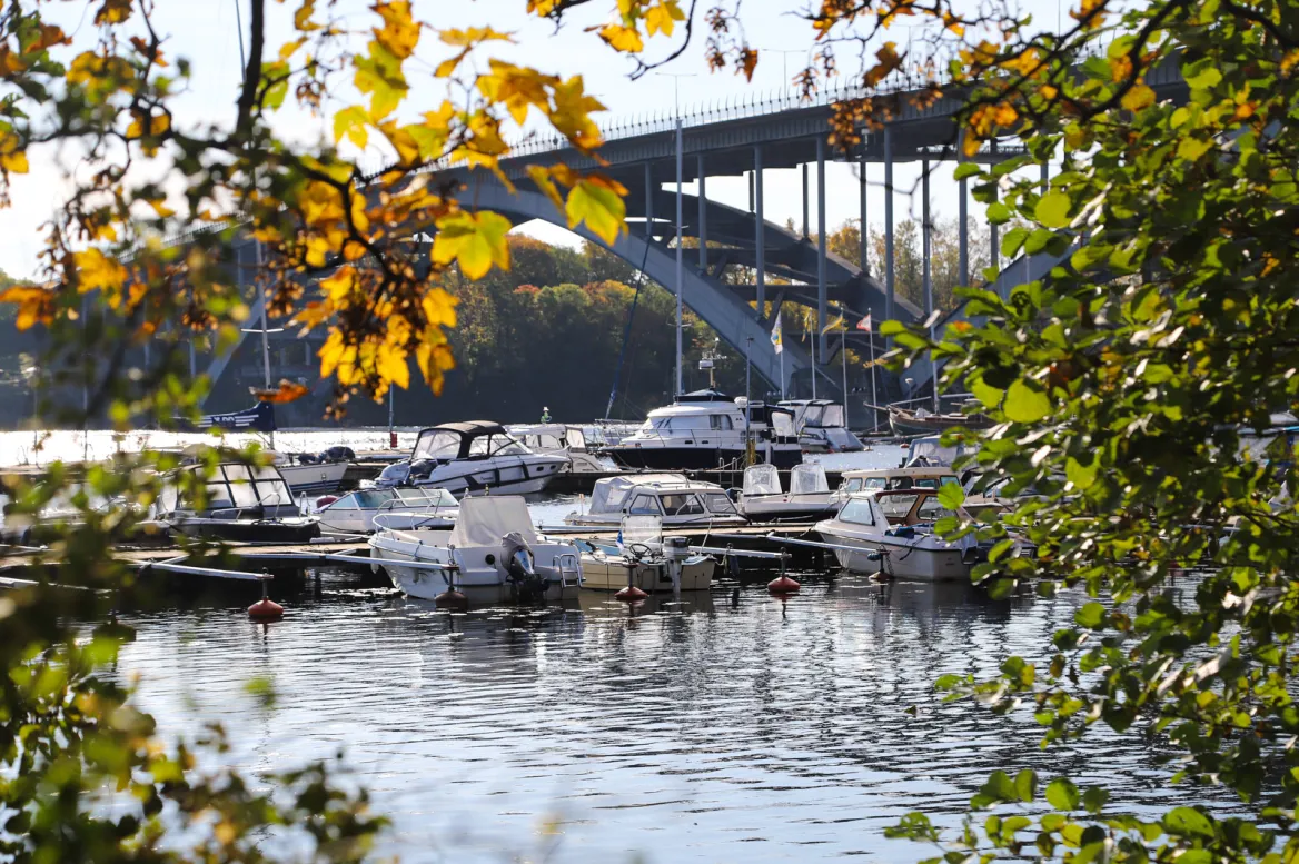 Rålambshovsparken