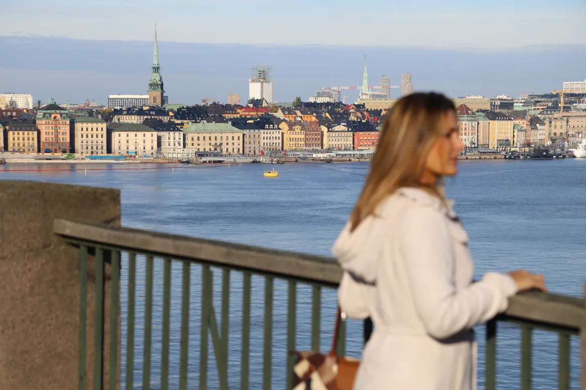 Fjällgatan
