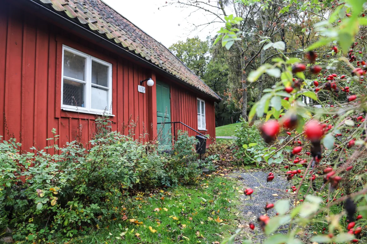 Vita Bergen district