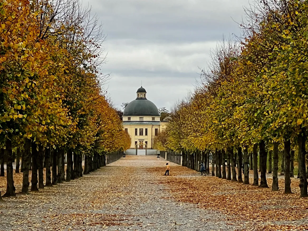 Park of the castle