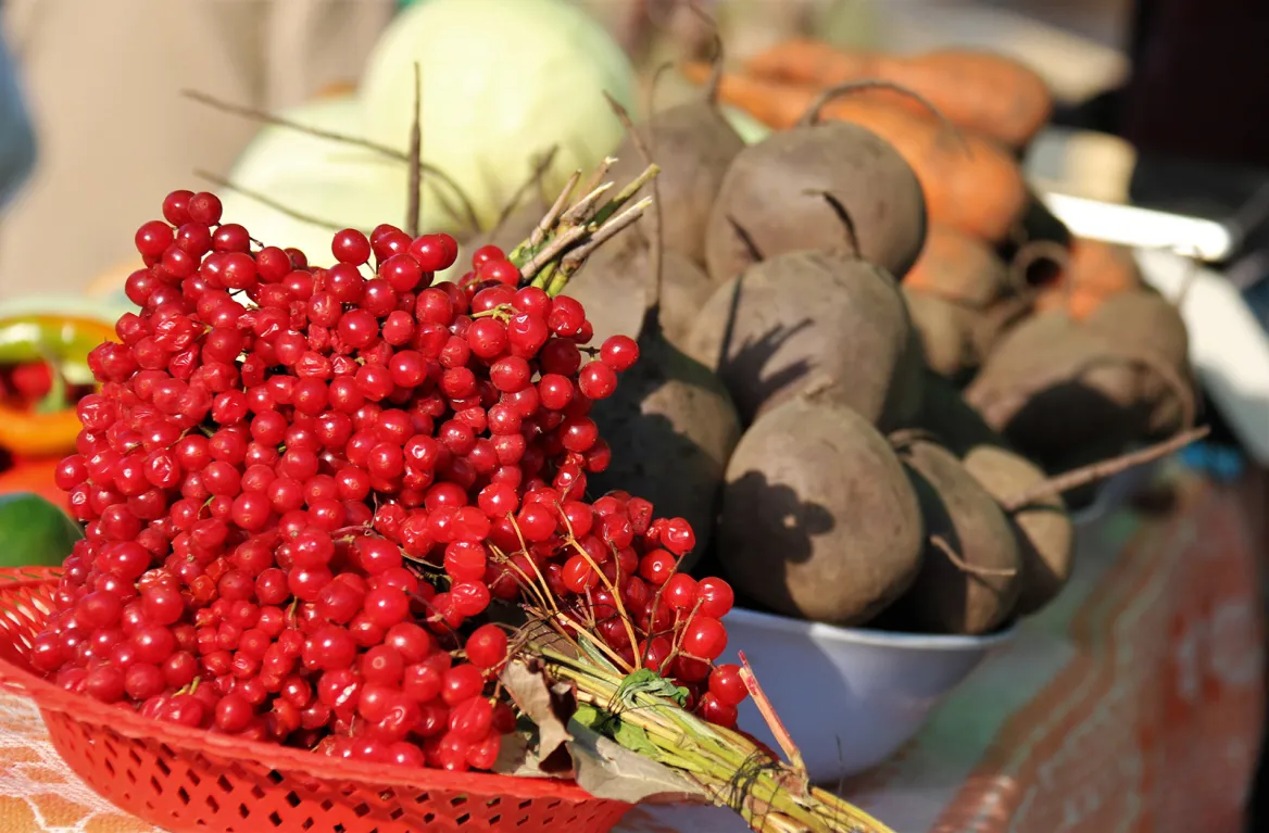 Lingonberries